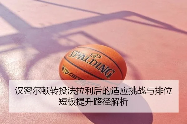han-mi-er-dun-zhuan-tou-fa-la-li-hou-de-shi-ying-tiao-zhan-yu-pai-wei-duan-ban-ti-sheng-lu-jing-jie-xi-2-213.jpg